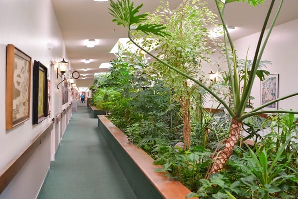 A hallway with greenery and art decor at Gardens Assisted Living.