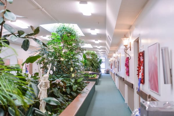 A well-lit hallway with greenery and art decor