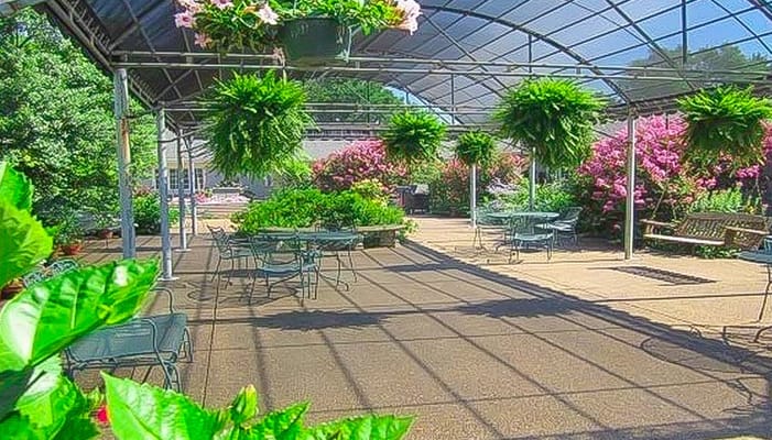 Beautiful outdoor patio area with flowers and seating