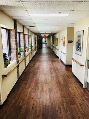 Well-lit hallway with windows and artwork