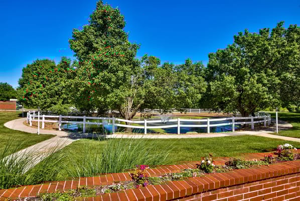 A landscaped outdoor space with trees and a walking path
