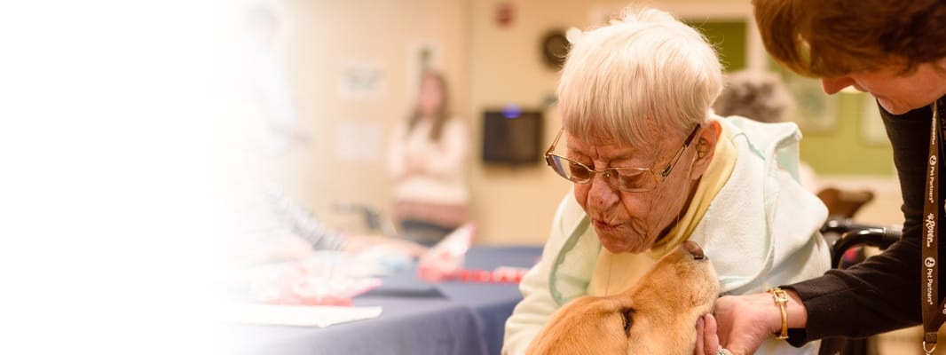 Resident interacting with a therapy dog in a common area