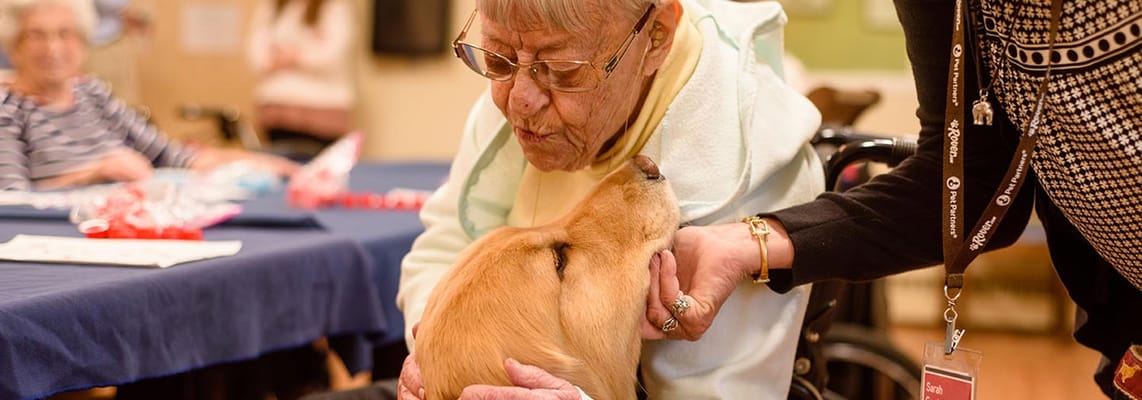 Resident interacting with a therapy dog during an activity