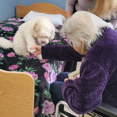 A resident interacting with a therapy dog in a cozy room