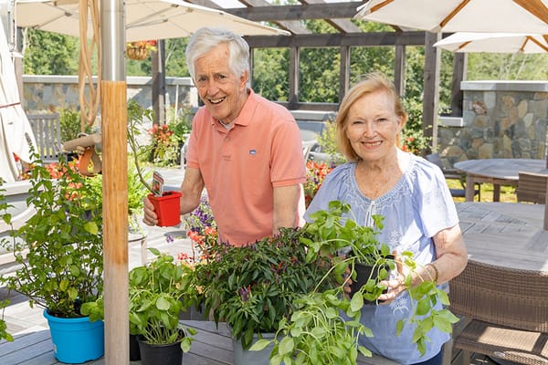 Residents gardening together on a sunny patio