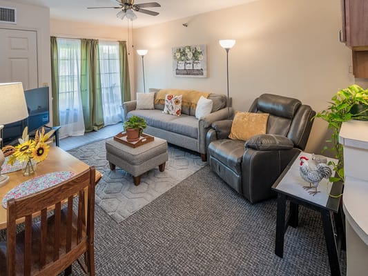 Cozy interior living space with comfortable furniture