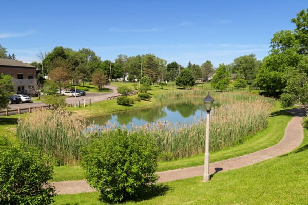 Fredonia Place of Williamsville