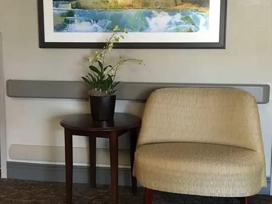 A cozy seating area with a plant and artwork