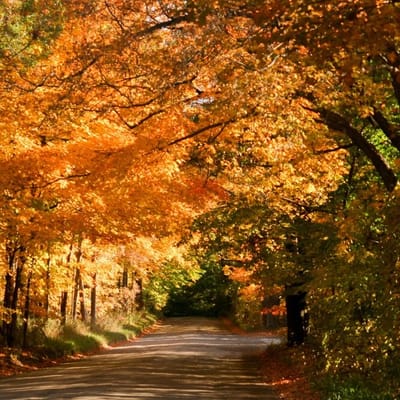 Pomeroy Living of Sterling