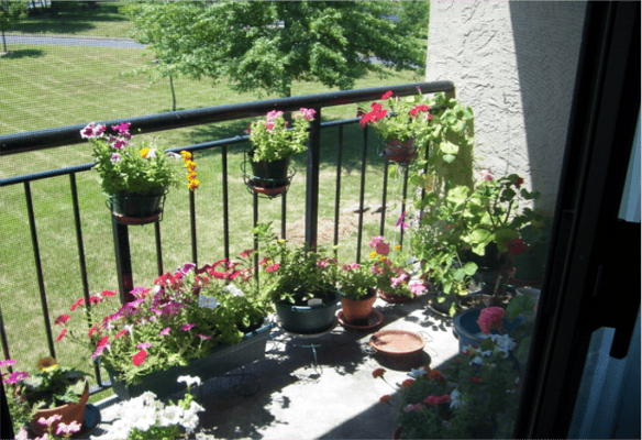 Our Lady of Mercy Country Home