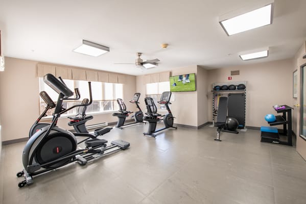 Solista Durham by Cogir