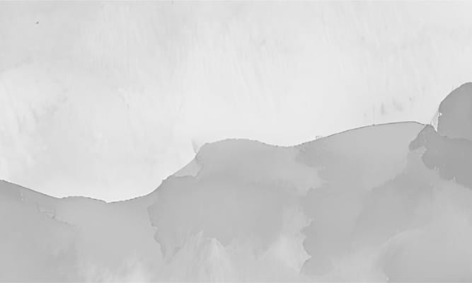 Solista Durham by Cogir