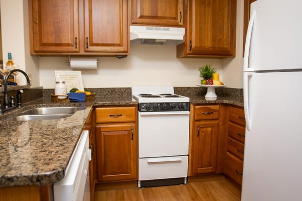 Bright kitchen with modern appliances and wooden cabinets