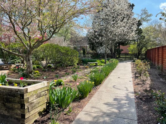 Beautiful garden path with blooming flowers