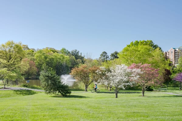A scenic park with colorful trees and a pond