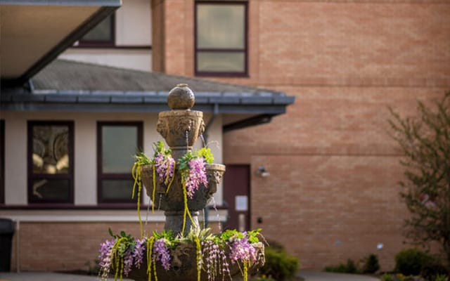 A decorative outdoor fountain with purple flowers