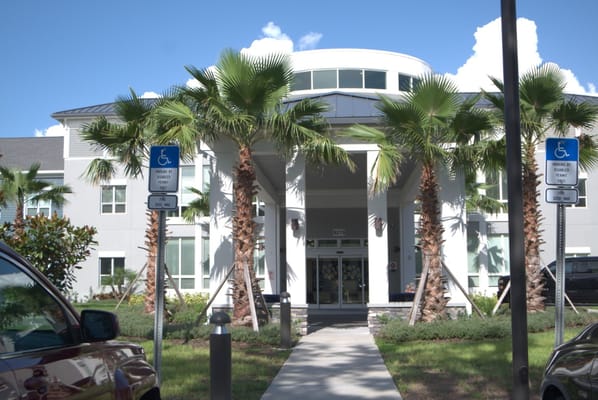 Front entrance of The Meridian at Brandon with palm trees