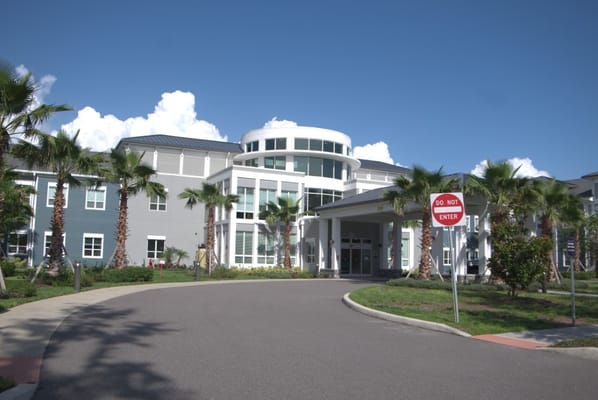 Exterior view of The Meridian at Brandon with palm trees