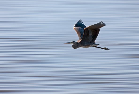 Wellspring Health and Rehabilitation of Cascadia