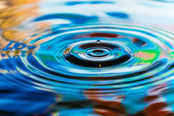 Wellspring Health and Rehabilitation of Cascadia