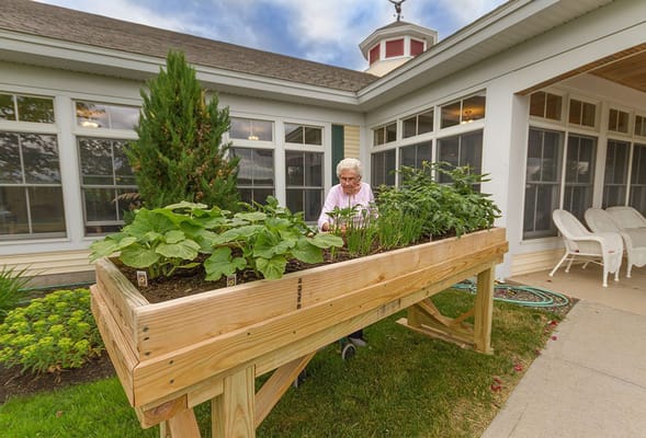 Resident tending to a raised garden bed outside