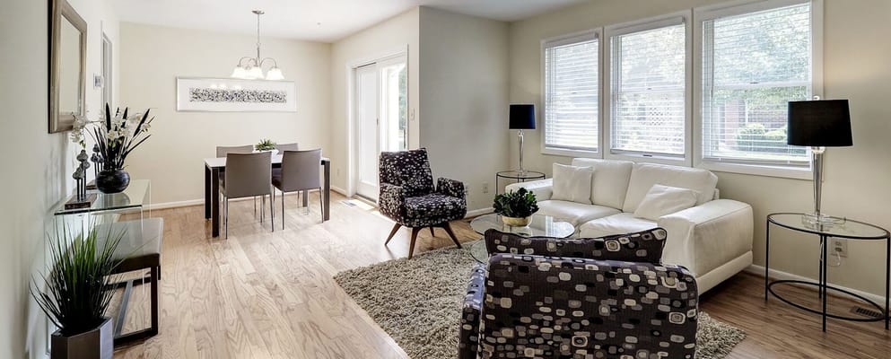 Bright living area with modern furniture