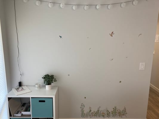 Mukuhi Care – Kenmore