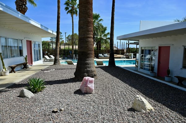 Outdoor space with pool and palm trees at a senior living facility