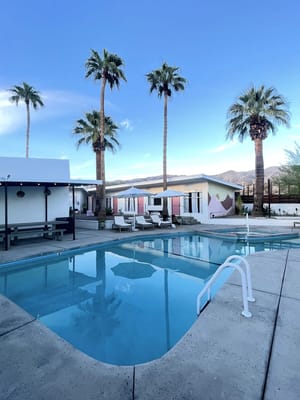 A serene pool area surrounded by palm trees
