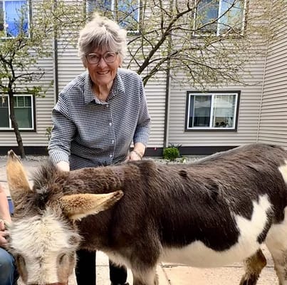 Resident interacting with a friendly donkey outdoors