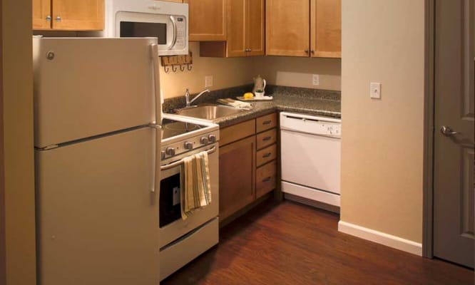 Modern kitchen interior with appliances and cabinets
