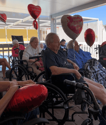 Bayshore Guest Home & Gardens