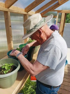 Senior man gardening in a greenhouse