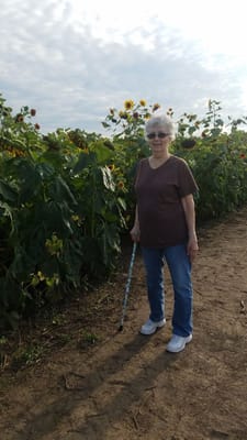Senior woman enjoying a sunny day among sunflowers