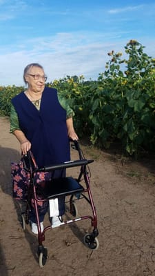 Woman walking with a walker in a sunflower field