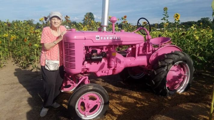 Resident posing by a pink tractor in a sunflower field