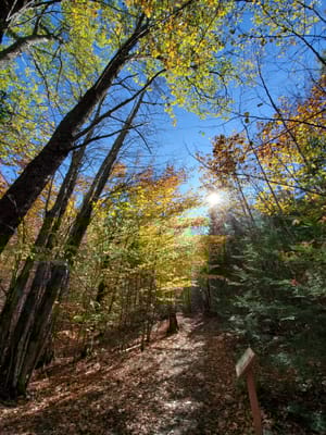 Highland Green Management