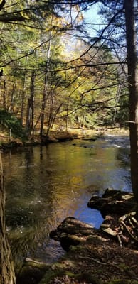 Highland Green Management