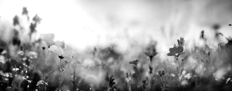 Charter Senior Living of Bowie