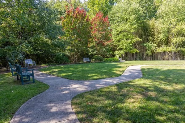 Pathway in a serene outdoor area with benches