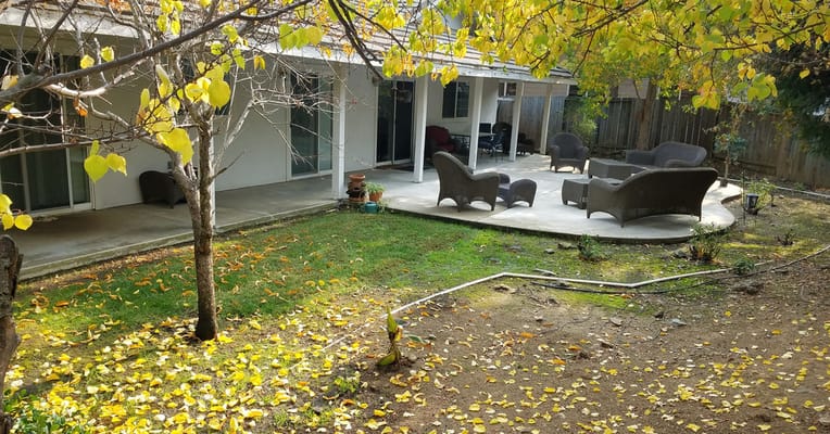 Outdoor patio area with seating and autumn leaves