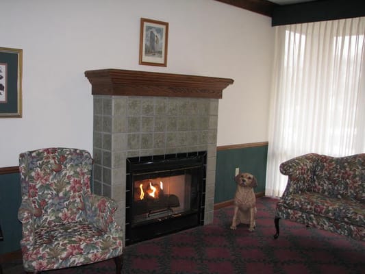 Cozy common area with a fireplace and a dog