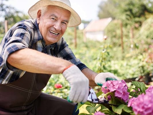 A resident gardening and smiling in a vibrant flower garden