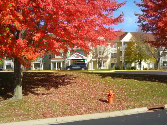 Building exterior with autumn foliage in front