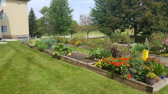 Garden area with colorful flowers and plants