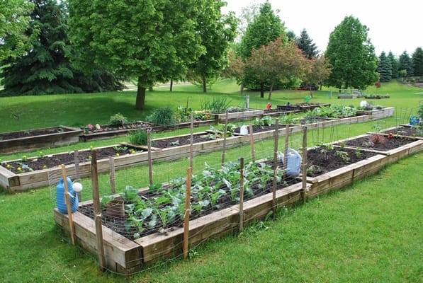 Raised garden beds in an outdoor space