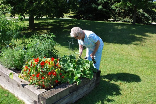 Resident tending to a vegetable garden