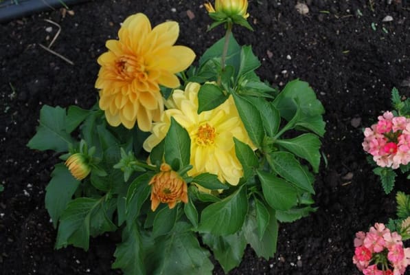 Gramercy Park Cooperative