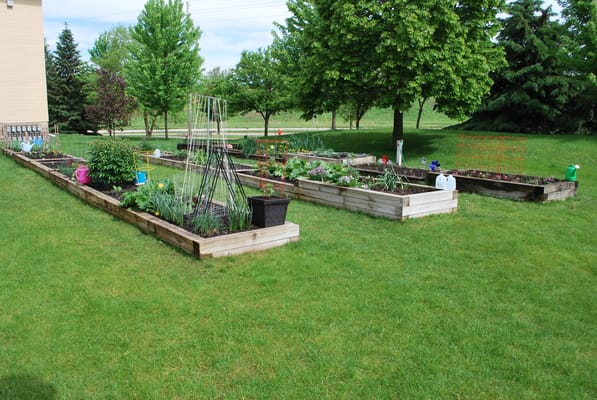 Raised garden beds in a green outdoor space