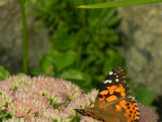 Gramercy Park Cooperative